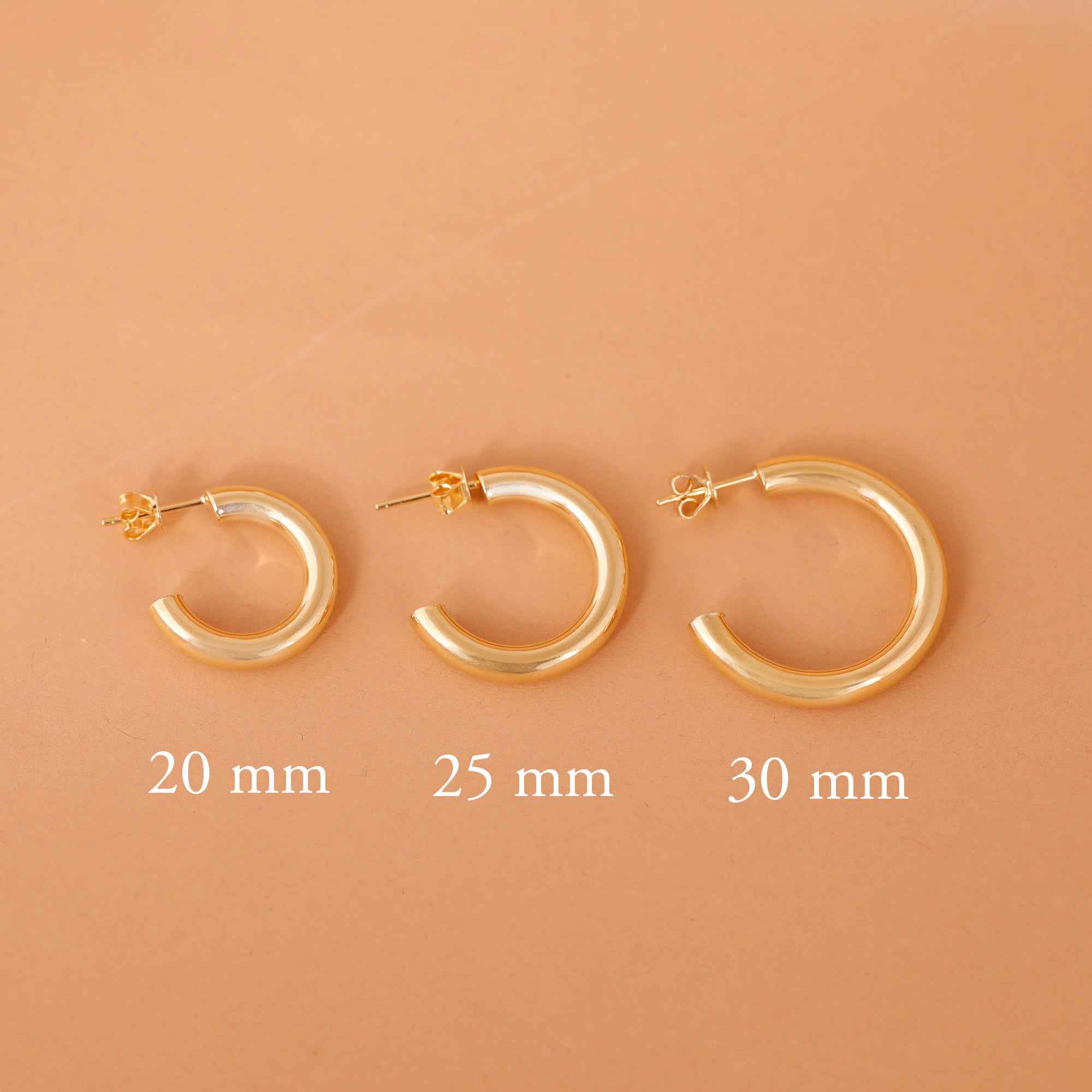 Gleaming Circle Earrings