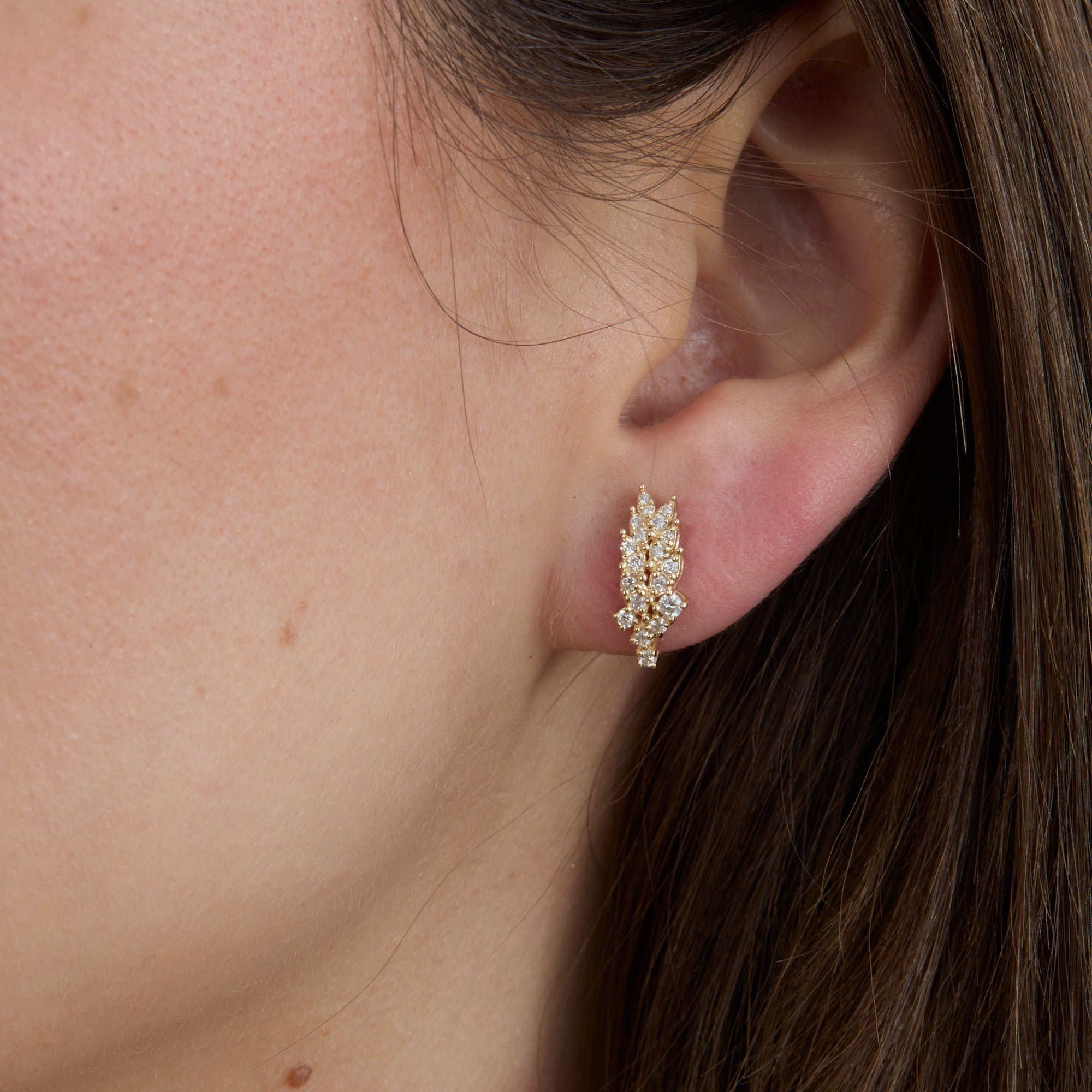 Botanical Leaf Studs