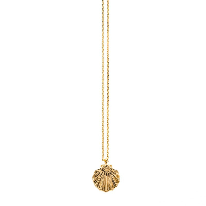 Galit Seashell Charm Necklace - Jewel Edition