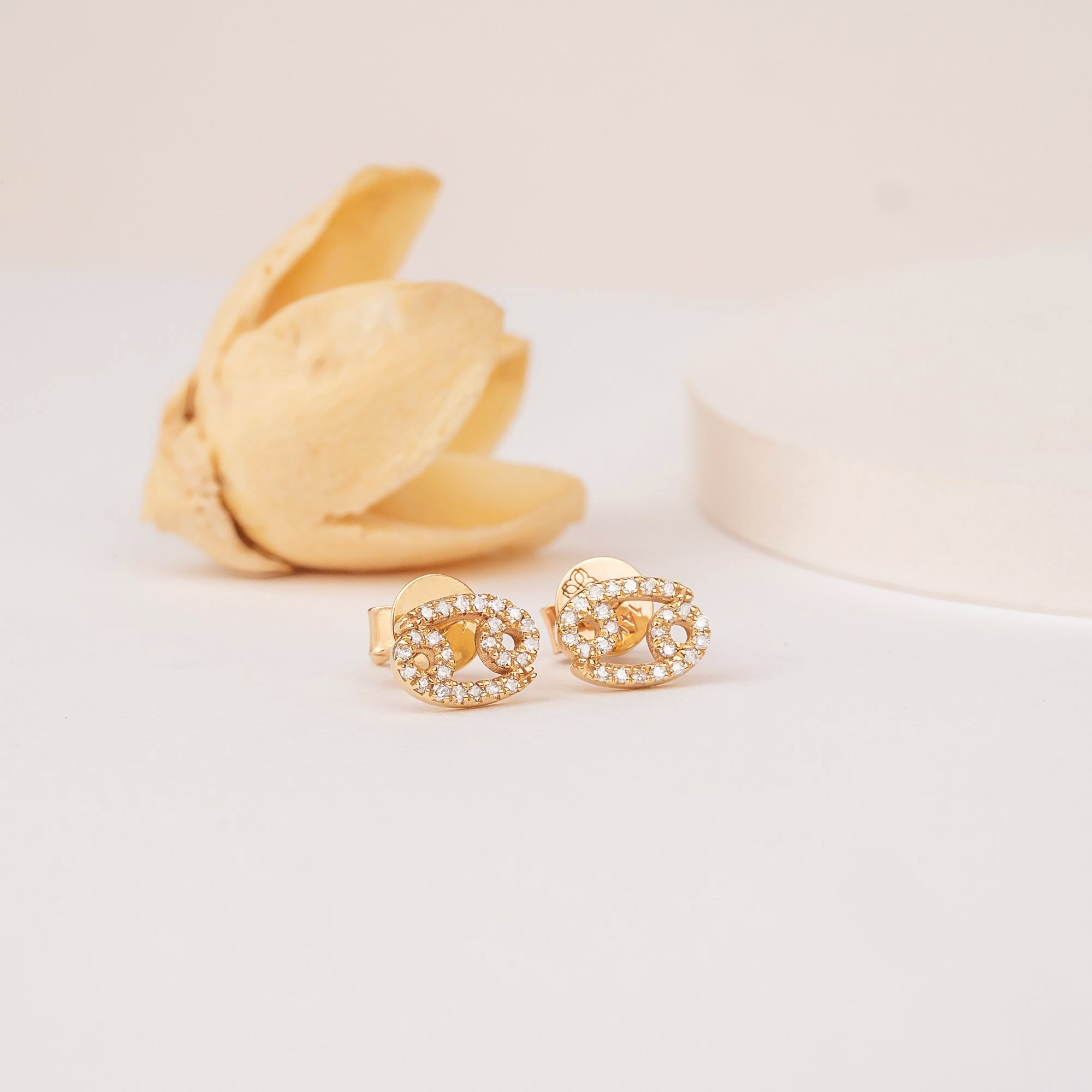 Zodiac Symbol Earrings