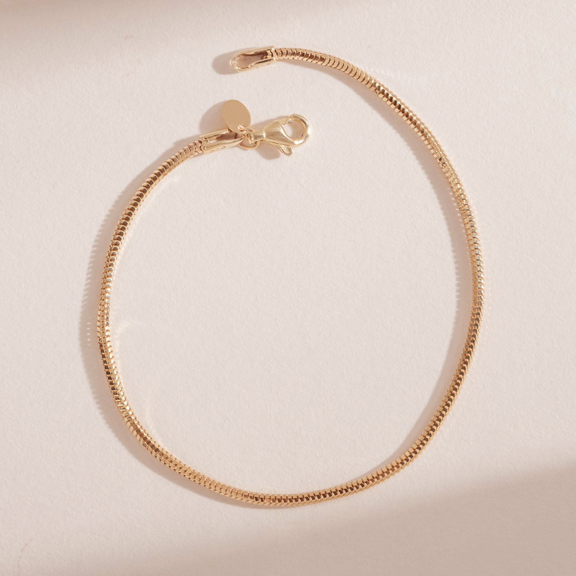 Snake Chain Bracelet