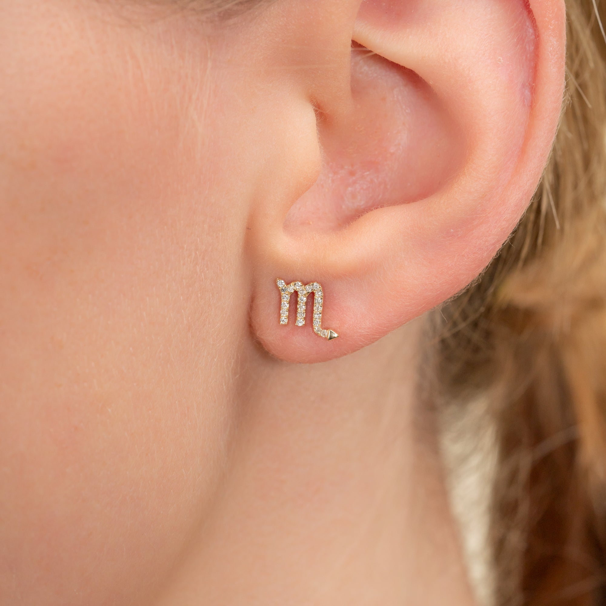 Zodiac Symbol Earrings