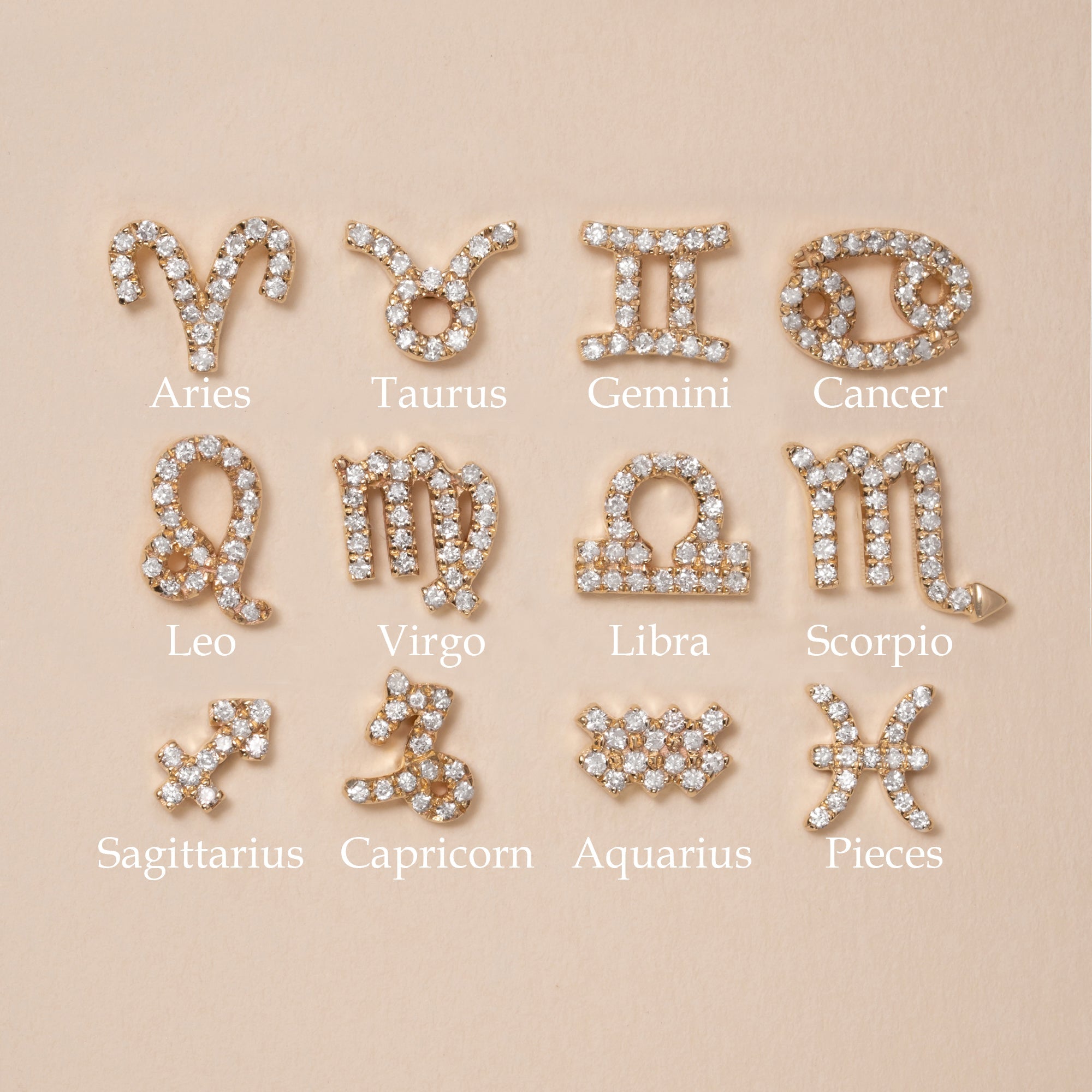 Zodiac Symbol Earrings