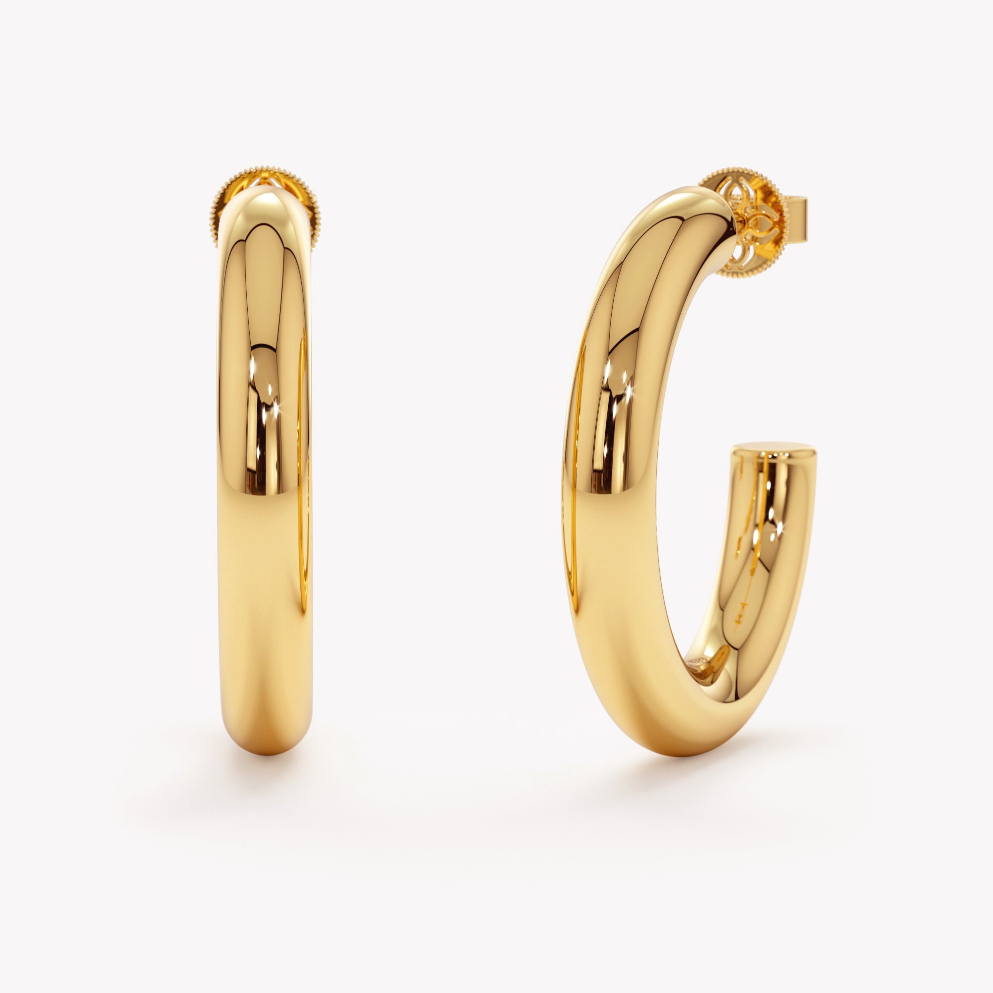 Gleaming Circle Earrings