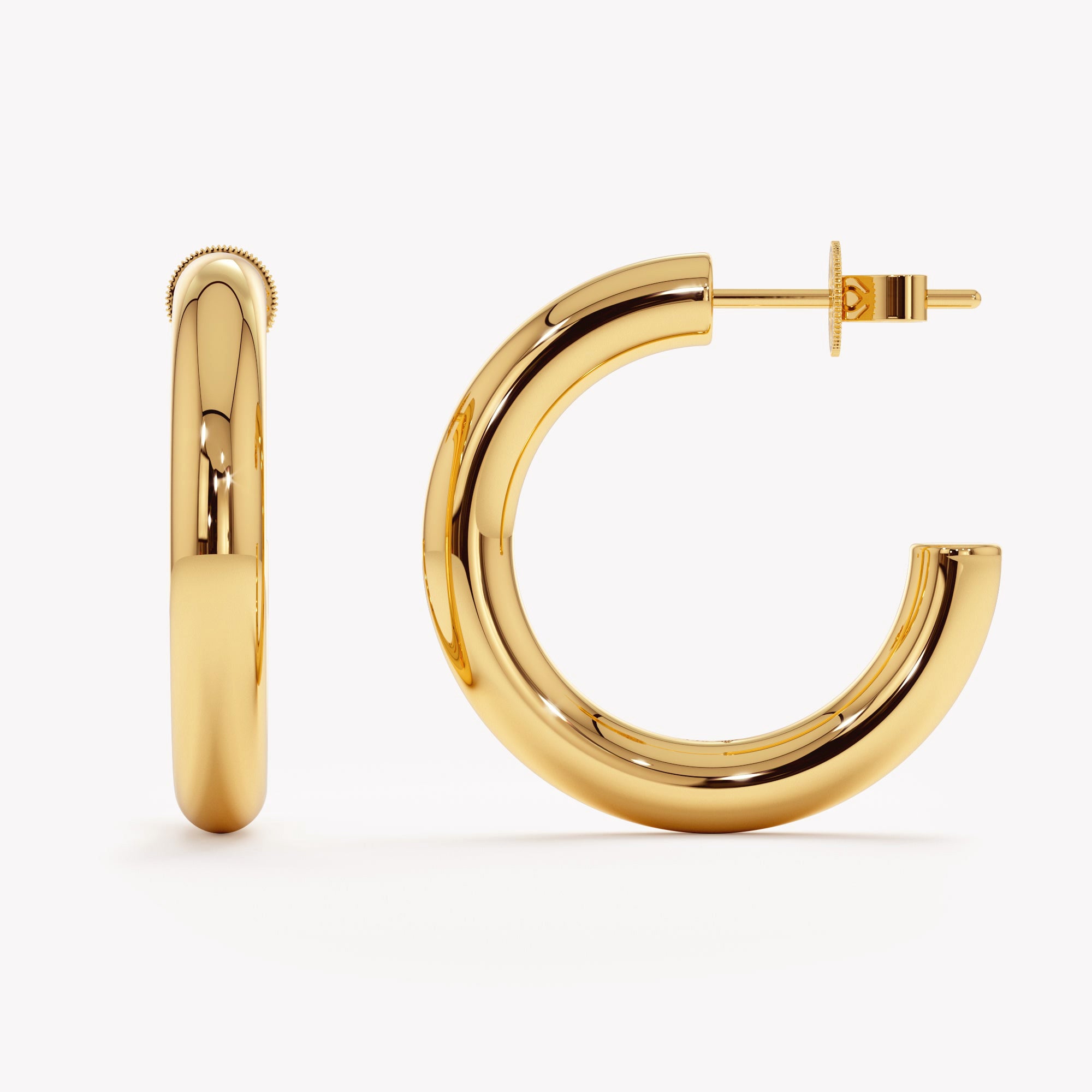 Gleaming Circle Earrings