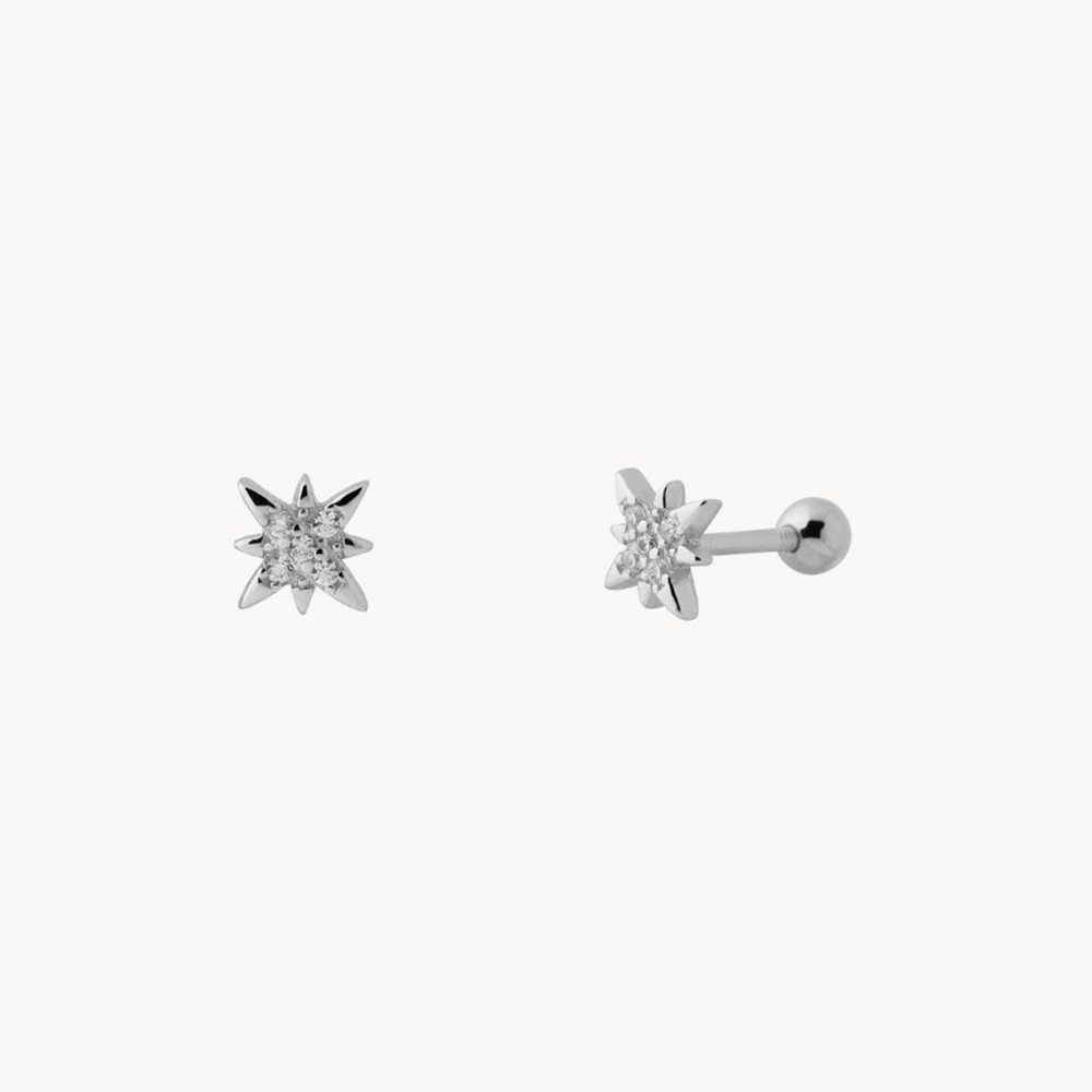 Shiny Polar Piercing - Sterling Silver 925 Gold Plated - Jewel Edition